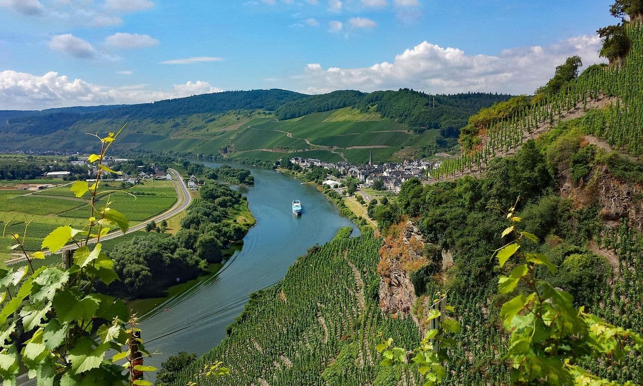 Mosel Region - Bild 1