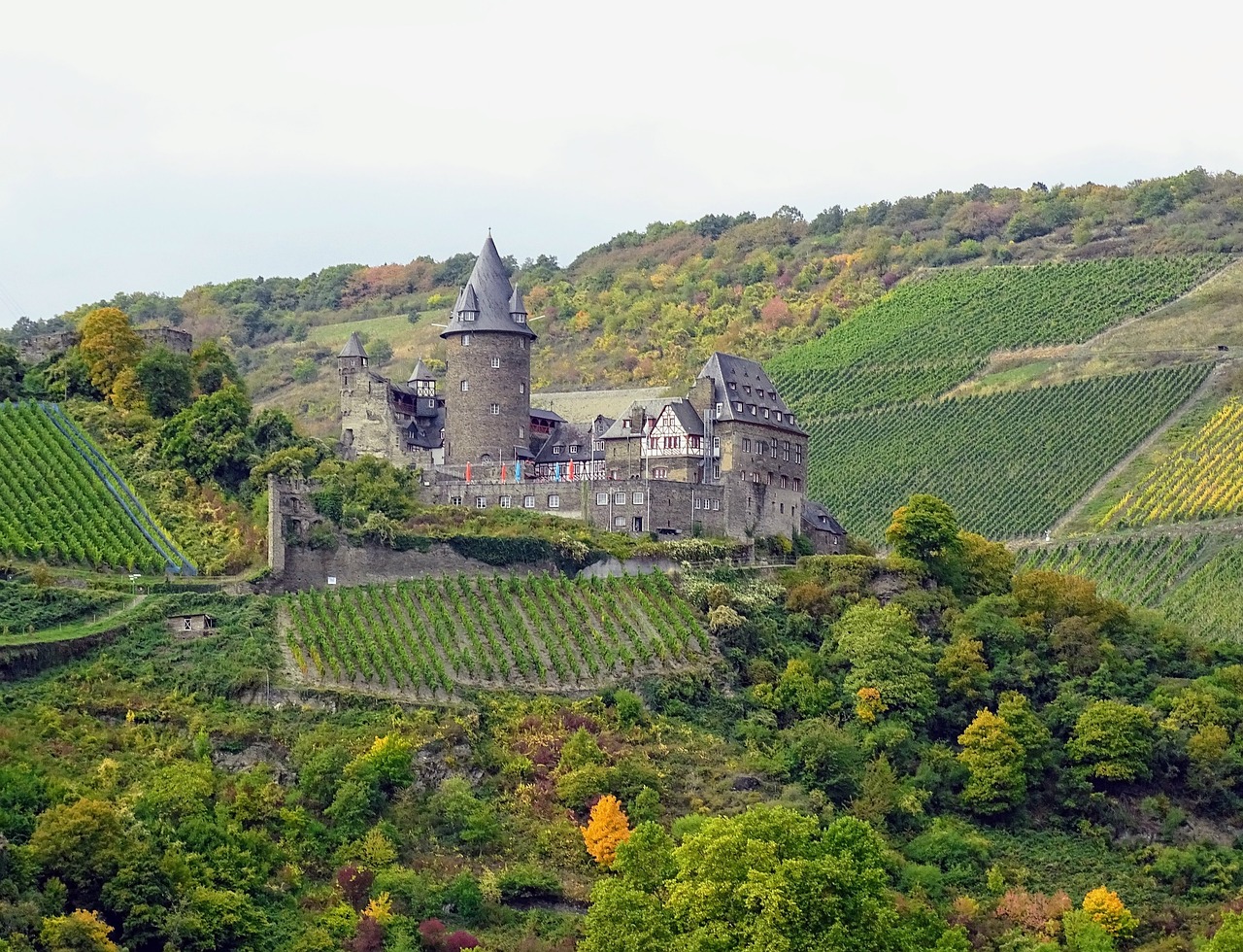 Aktiv unterwegs an der Mosel: Schifffahrt, Radtouren und historische Burgen - 3