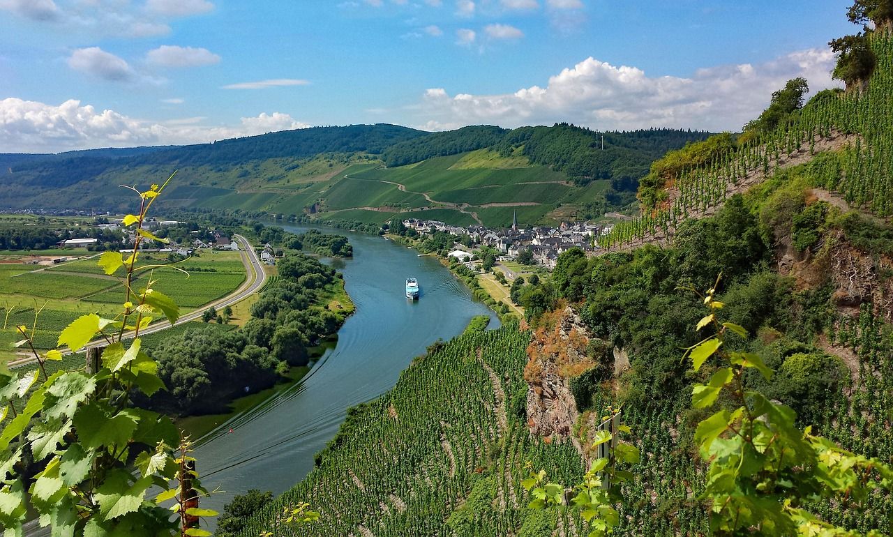 Mosel Region - Bild 1