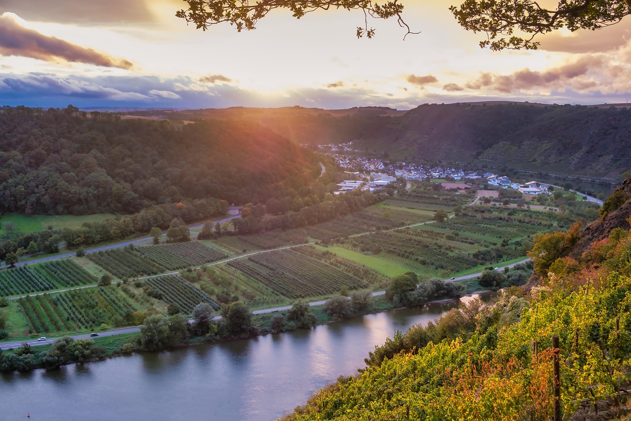 Panoramablick über die Mosel and die Moselschleife bei Bremm - 1