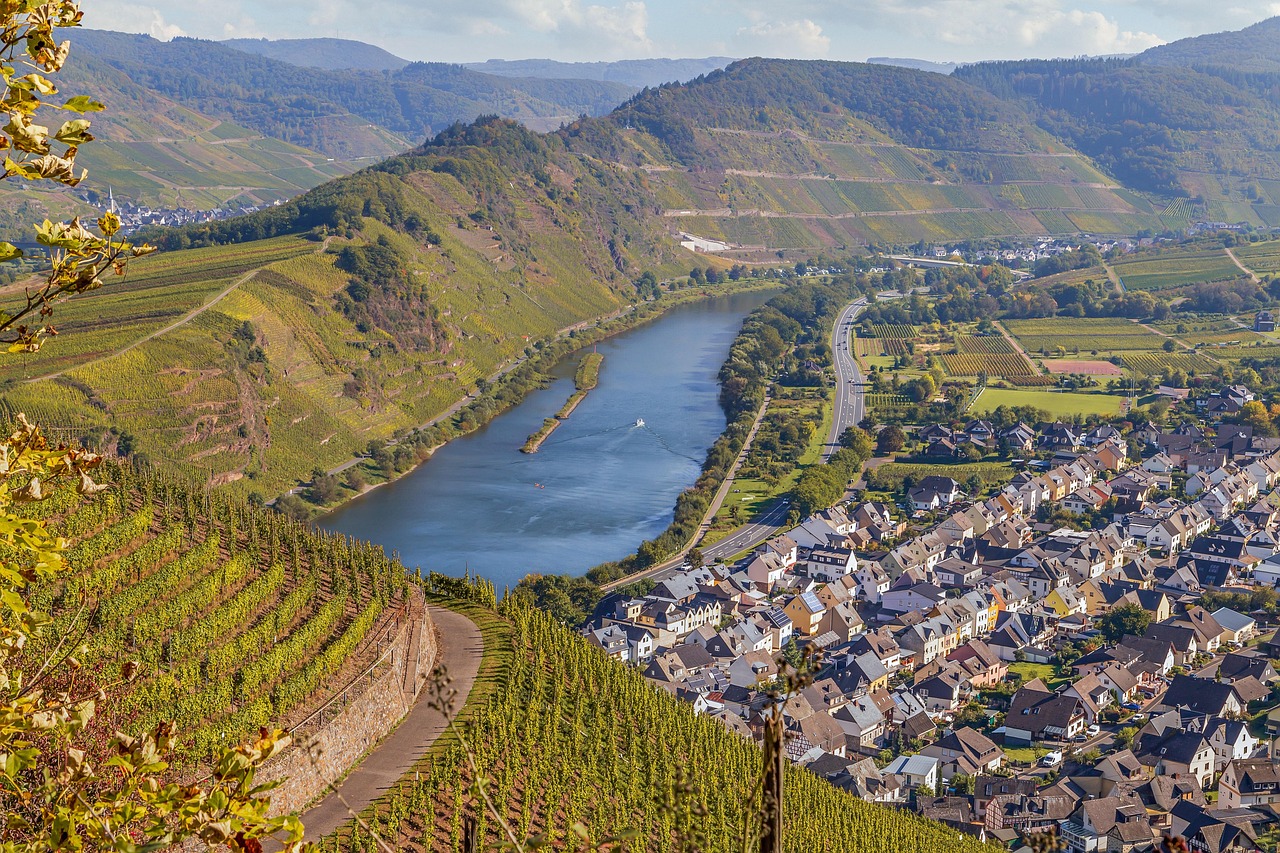 Panoramablick über die Mosel and die Moselschleife bei Bremm - 2